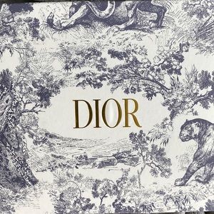 Saddle Bag Christian Dior